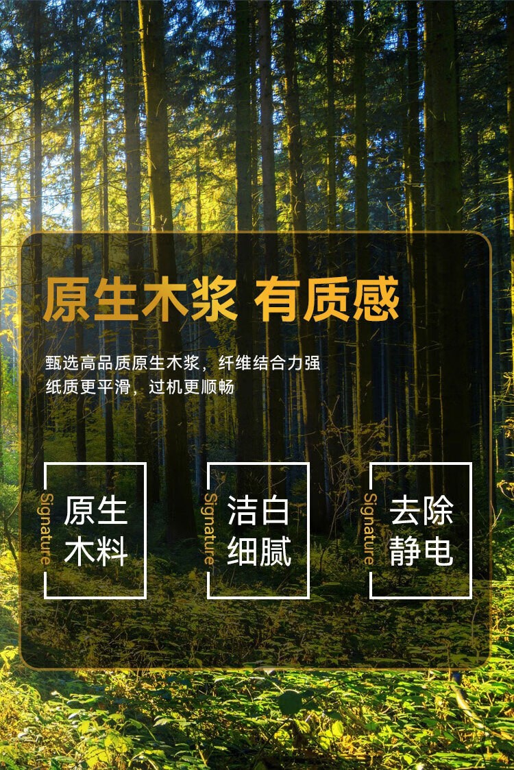 蓝蜗牛70克 A4 复印纸 顺滑不卡纸双面打印A4纸整箱 500张/包 5包/箱（2500张）金光 APP