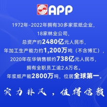 蓝蜗牛70克 A4 复印纸 顺滑不卡纸双面打印A4纸整箱 500张/包 5包/箱（2500张）金光 APP