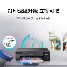 爱普生（EPSON）L18058 A3+墨仓式6色照片打印机商用办公原装照片影楼打印 L18058（一年延保版）