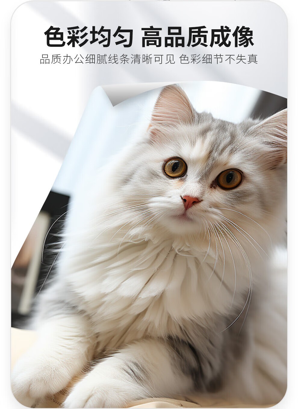 佳能（CANON）NPG-88大容量原装墨粉盒适用C3322L/3326/3926/3930/3935大型办公打印机大容量BK黑色
