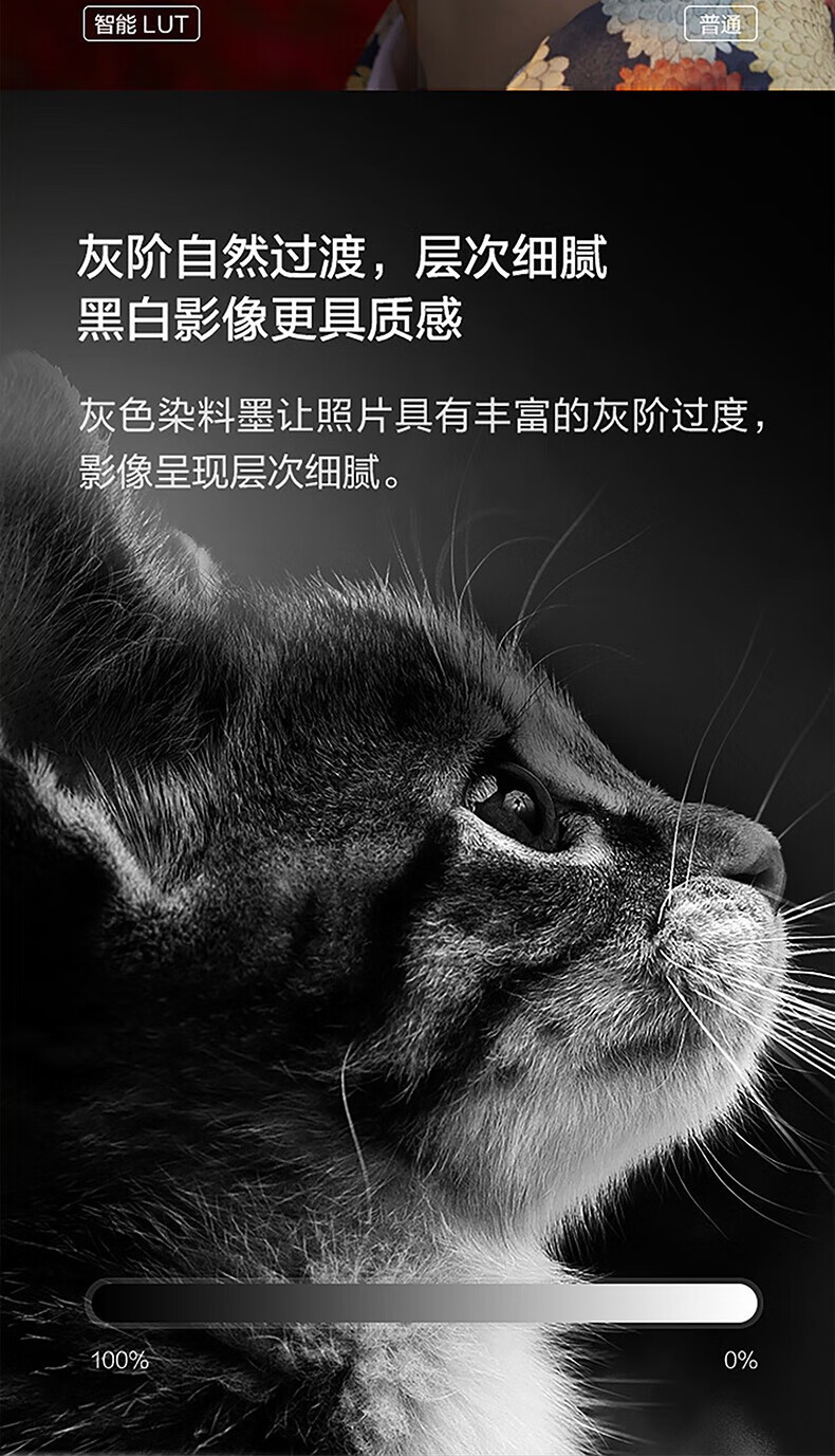 爱普生（EPSON）L8168 高端家用6色照片A4一体机 AI学习打印机（彩色触屏 自动双面 打印复印扫描 液晶屏 )