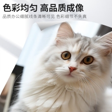 佳能（Canon）NPG-88Y原装墨粉盒耗材硒鼓适用于C3322L/c3326/c3926/c3930 黄色大容量装【约19000张】